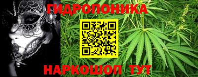 трава Новодвинск