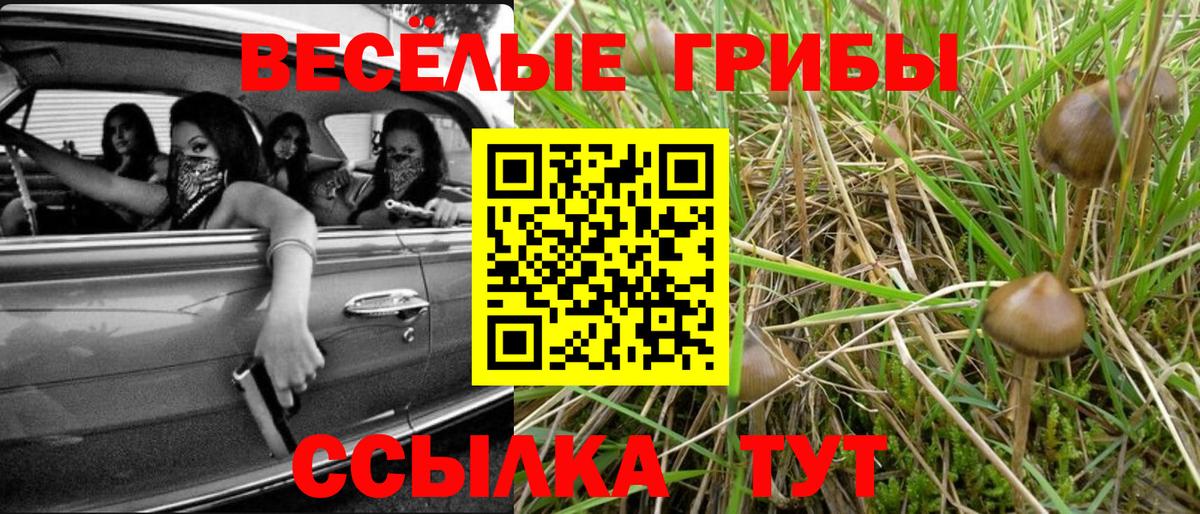 Псилоцибиновые грибы прущие грибы Северск